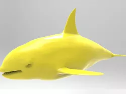 Killer Whale 3D print model