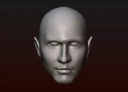 Male head 25 bald head 3D print model