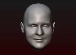 Male head 26 bald head 3D print model