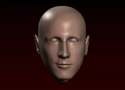 Male head 27 bald head Thin face 3D print model
