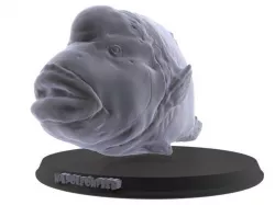 Napoleon Fish 3D print model