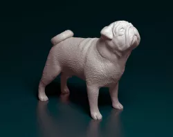 Pug dog 3D print model