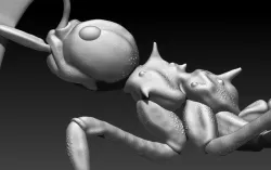 red ant 3D print model