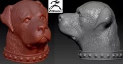 Rottweiler head  with collar 3D print model