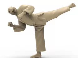 Snake Back Kick 3D print model