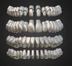 Teeth Anatomy Library with Thimble Crowns - Azure 3D print model