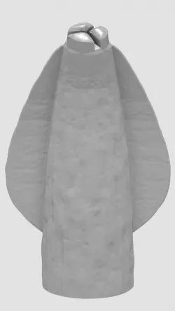 Toxocara cati  3D print model