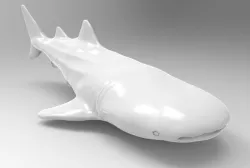 Whale Shark Printable 3D print model
