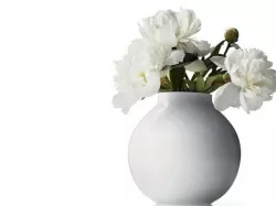 Ball vase