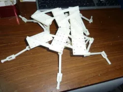 cock roach locomotion studying model