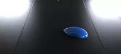 computer mouse