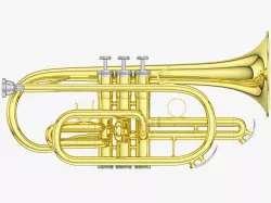 Cornet 3D model