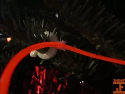 EL Wire Christmas Tree Clip