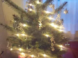 family names christmas tree ornaments