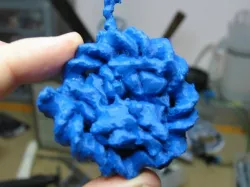 Histone