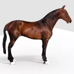 HORSE 3D model