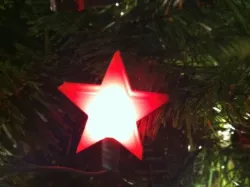 Illuminated ornament