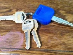 Key Protector (Honda)