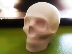 Lisa the printable skull