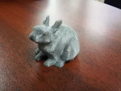little bunny