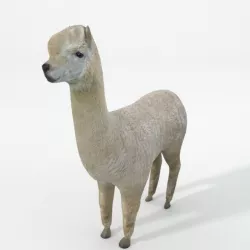 Llama Low-poly  3D model