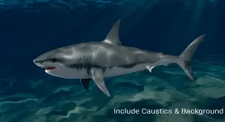 Low poly Rigged and Animated Big white shark Low-poly  3D model