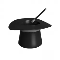 Magic Hat 3D model