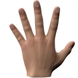 Male Hand Low-poly  3D model