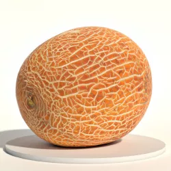 Melon Low-poly  3D model