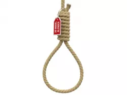 Noose 3D model