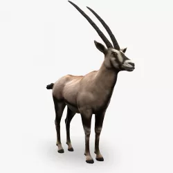 Oryx Antelope Low Poly  Low-poly  3D model