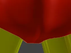 Robot Posterior