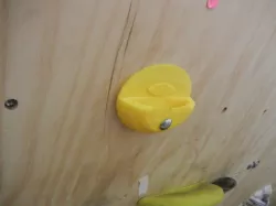 Rock Climbing Hold