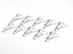 Shark teeth