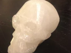 Simplified Skull