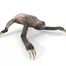 Sloth Low-poly  3D model