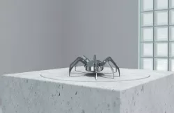 Spider Robot v1 