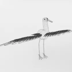 Stork Low-poly  3D model