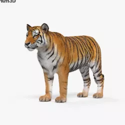 Tiger 3D model
