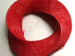 Twisted Torus