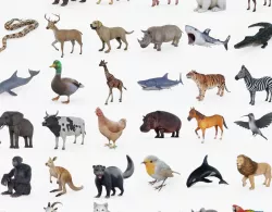 Ultimate Animal Collection Rigged Fur  Low-poly  3D model