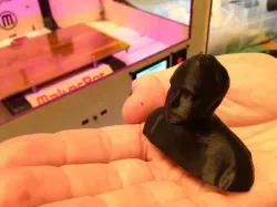 Walter's Head