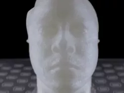 will.i.am 3D bust