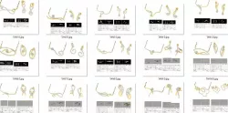 26 Women pendant-earrings set 3dm stl render detail  3D print model