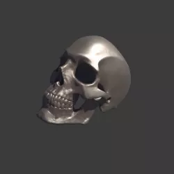 A Human Homo Sapien Skull Ring for 3D printing 3D print model