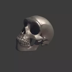A Neanderthal Skull Ring for 3D printing 3D print model