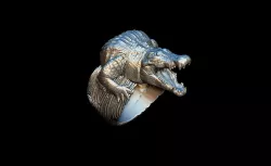 Alligator ring 3D print model