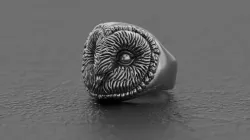 Barn owl ring 3D print model 3D print model