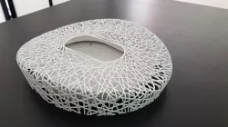 Beijing national stadium birds nest 3D print model