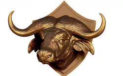 Buffalo Head for printing 3d 3D print model